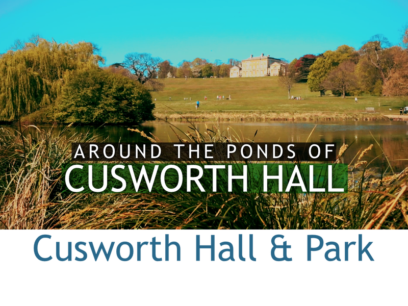 Cusworth Hall & Park